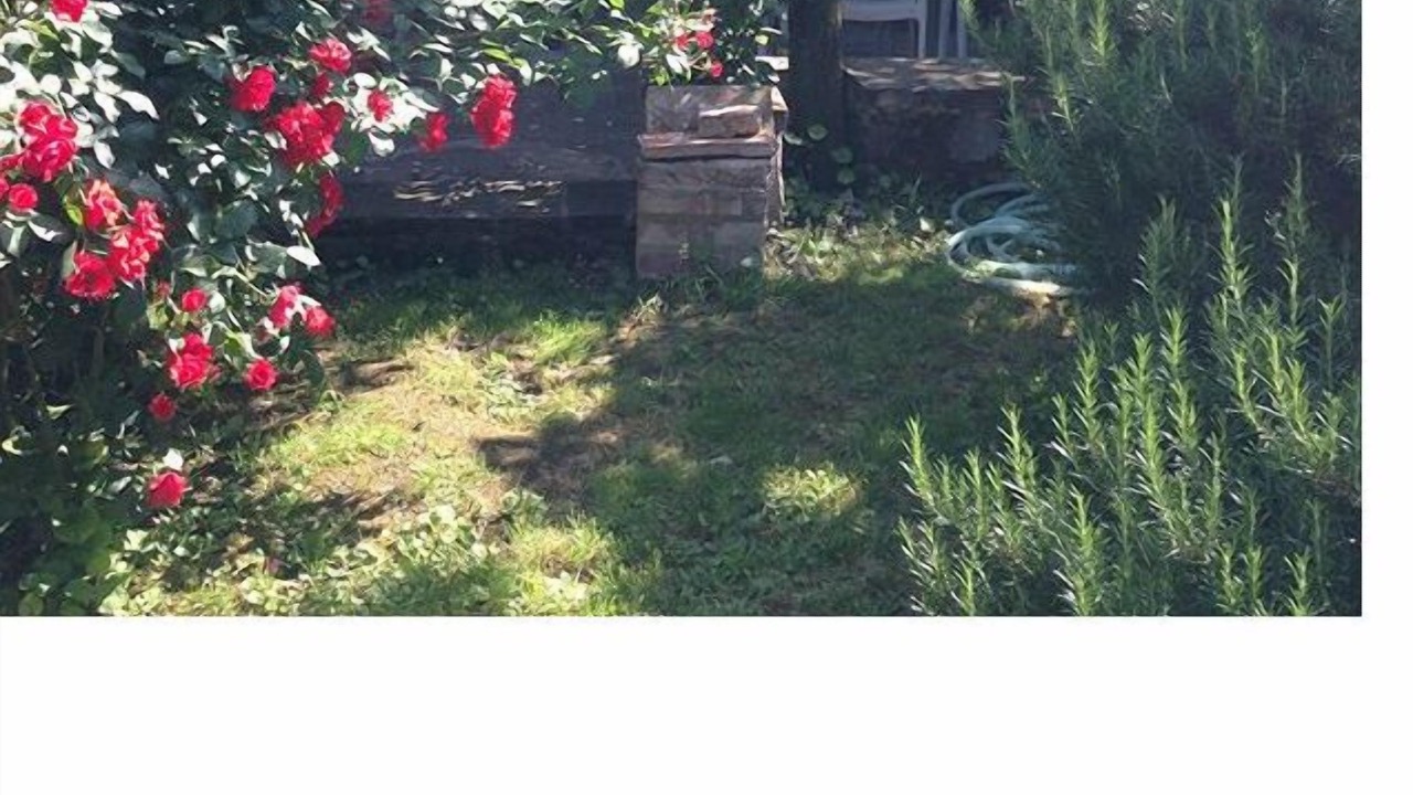 Photo of Outdoor in Fratticciola