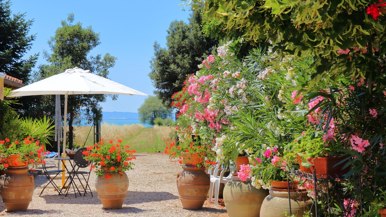 Photo of Patio Balcony in Passignano sul Trasimeno