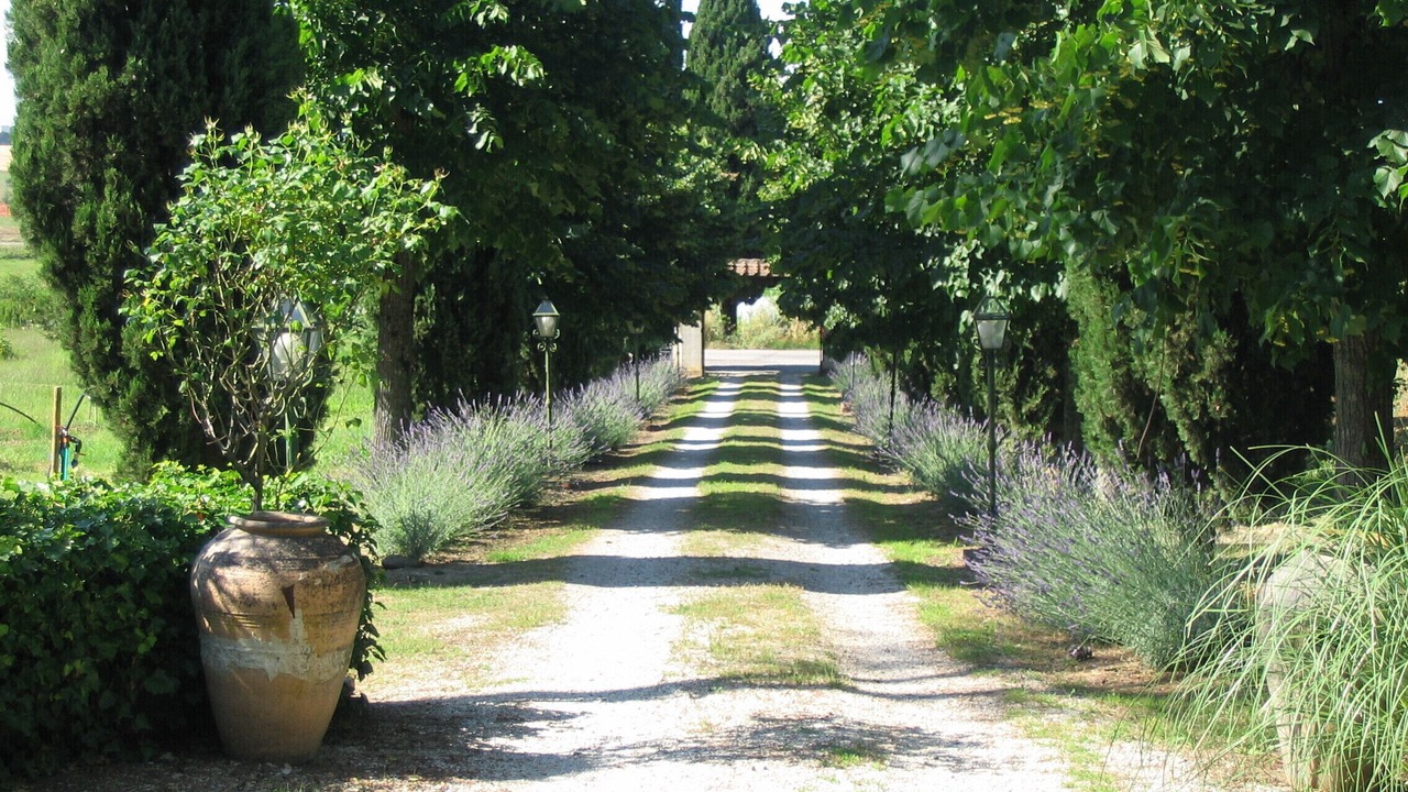 Photo of Outdoor in Castiglione del Lago
