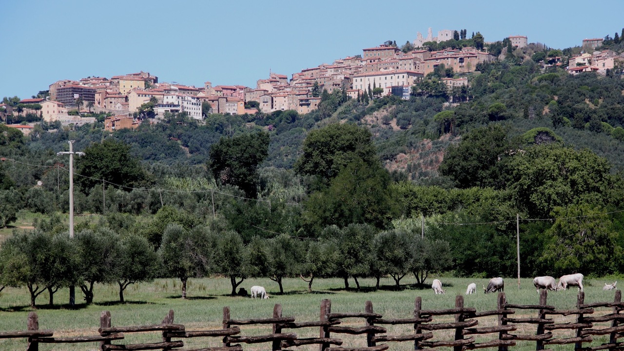 Photo of Outdoor in Piombino