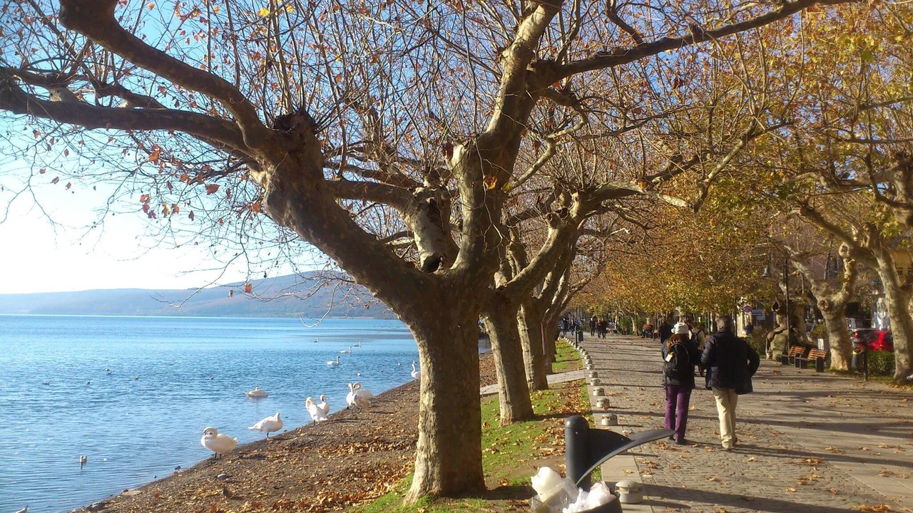 Photo of Outdoor in Lake Bracciano