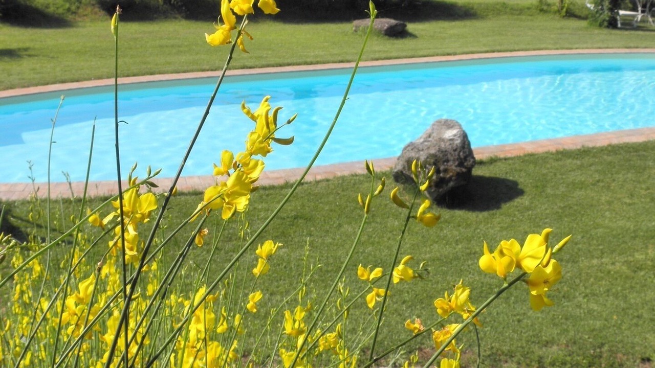 Photo of Outdoor in Monteleone d'Orvieto