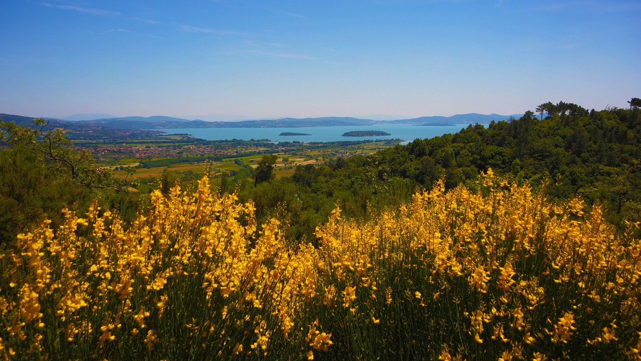 Photo of Outdoor in Ferretto