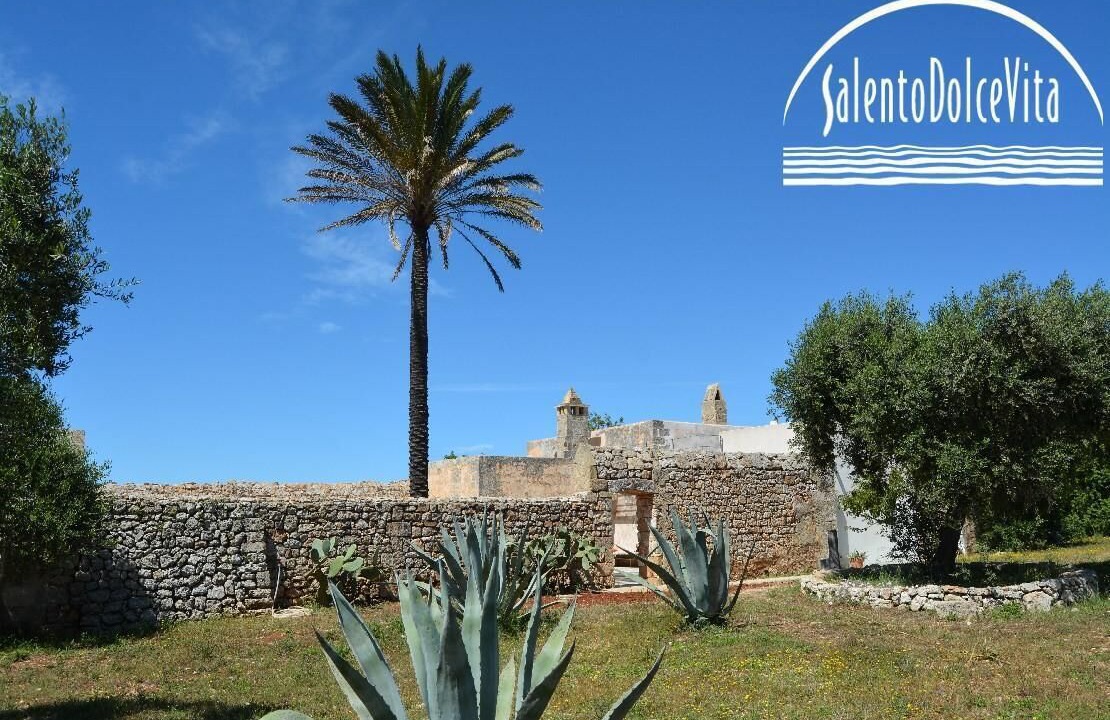 Photo of Outdoor in Marina San Gregorio
