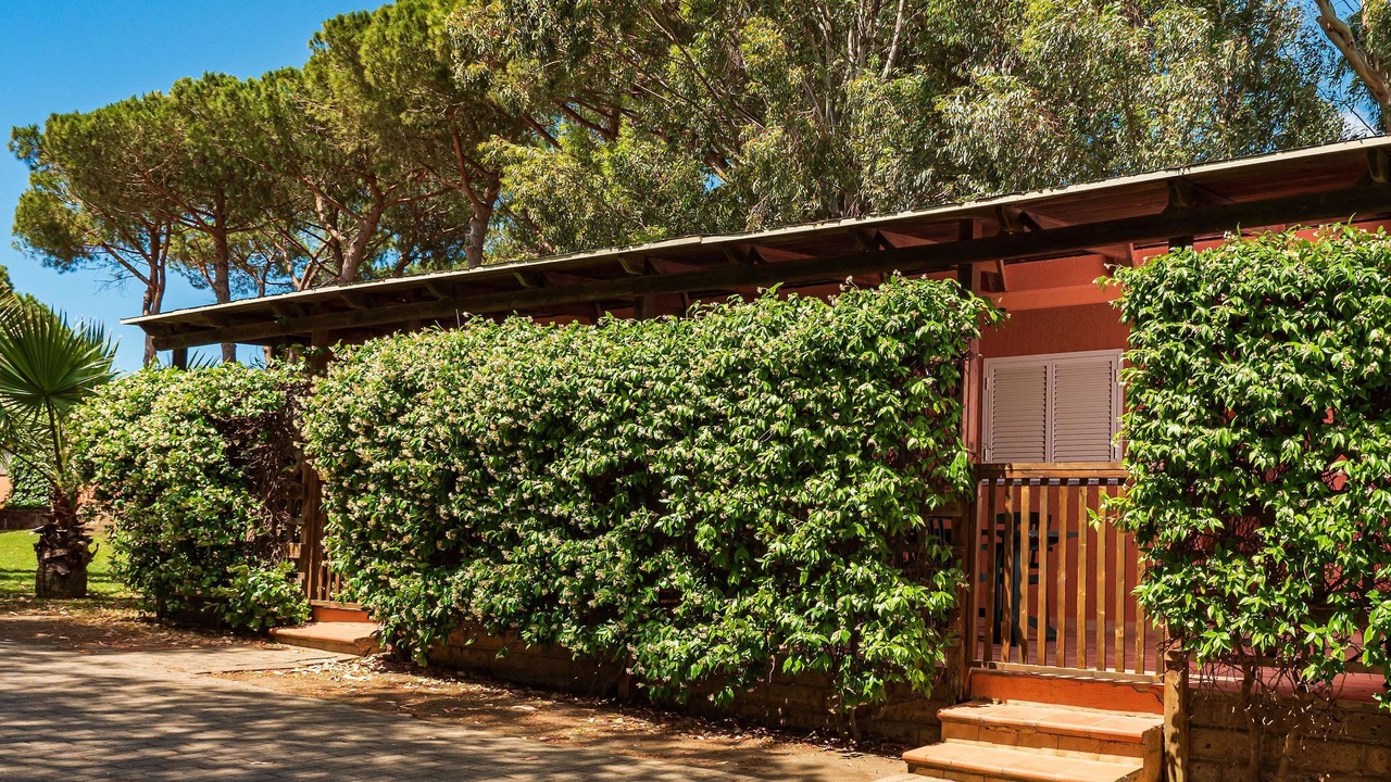 Photo of Outdoor in Pescia Romana