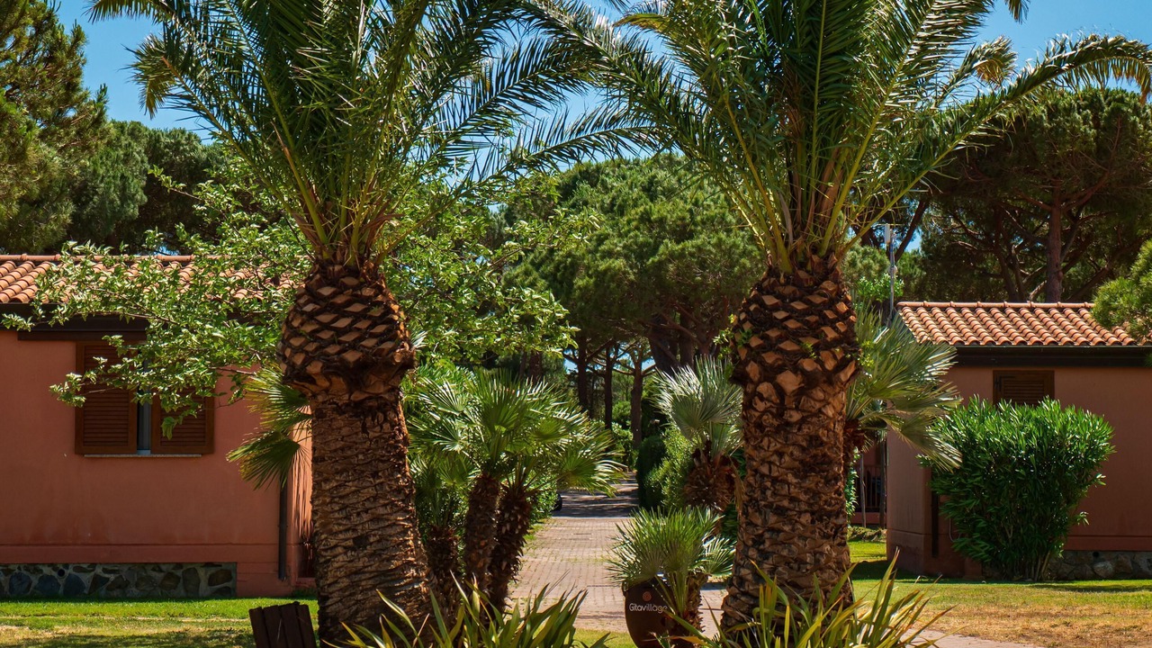 Photo of Outdoor in Pescia Romana