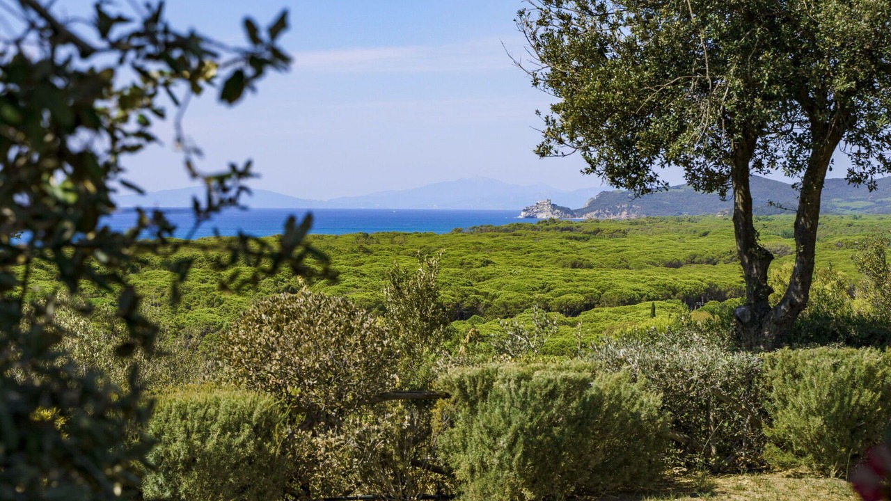 Photo of Others in Castiglione della Pescaia