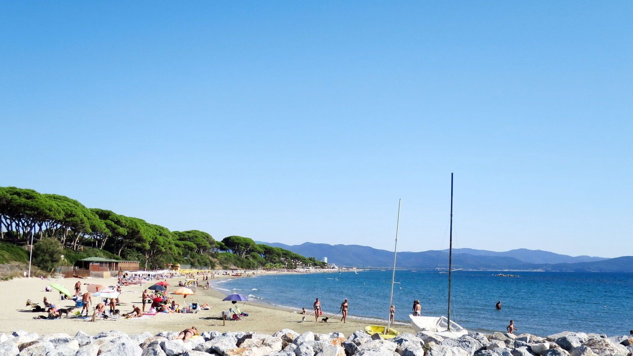 Photo of Others in Follonica