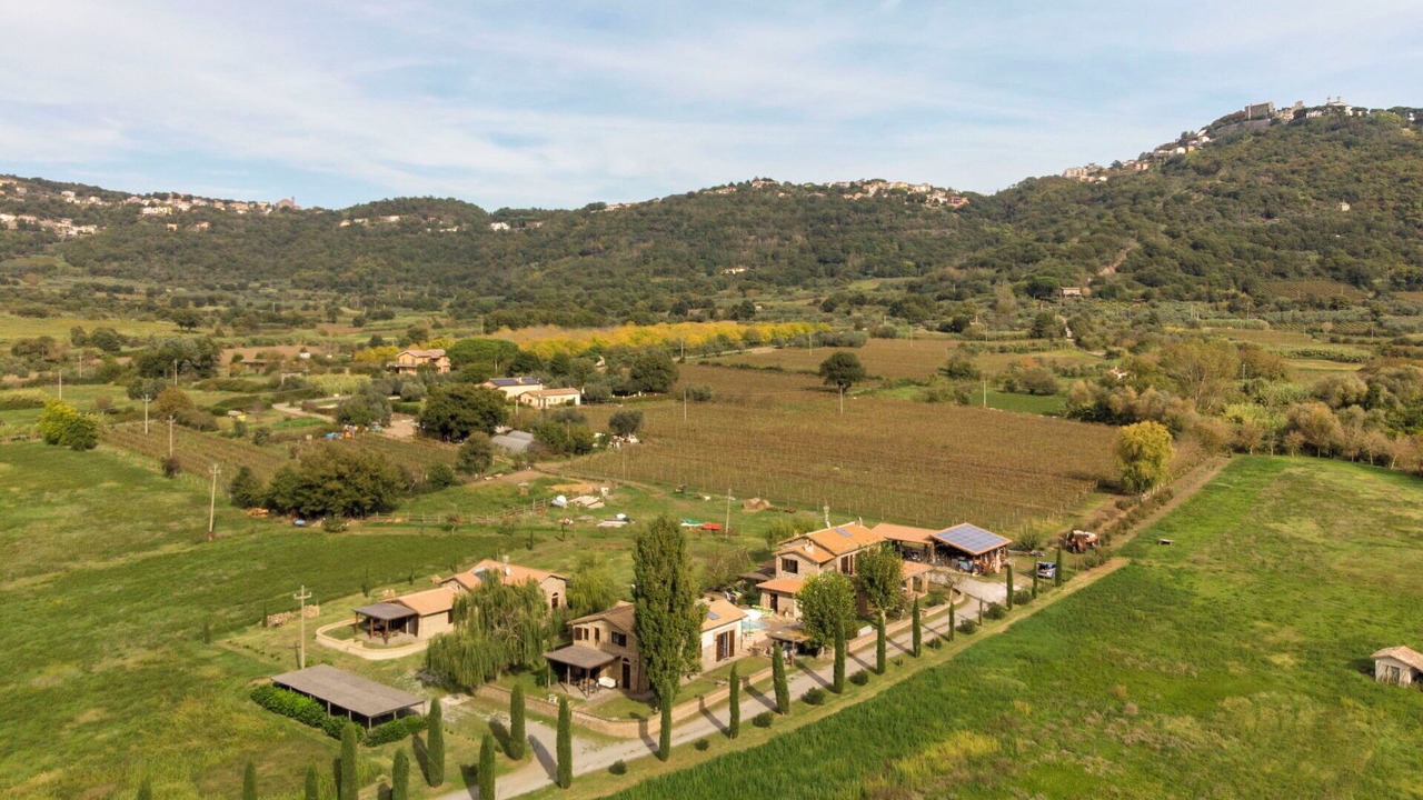 Photo of Others in Montefiascone