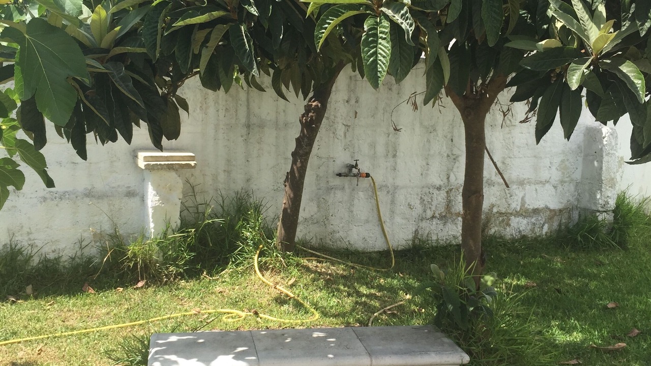 Photo of Outdoor in Alessano