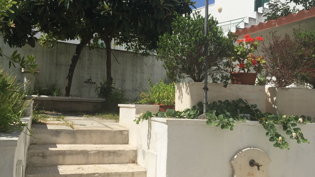 Photo of Outdoor in Alessano