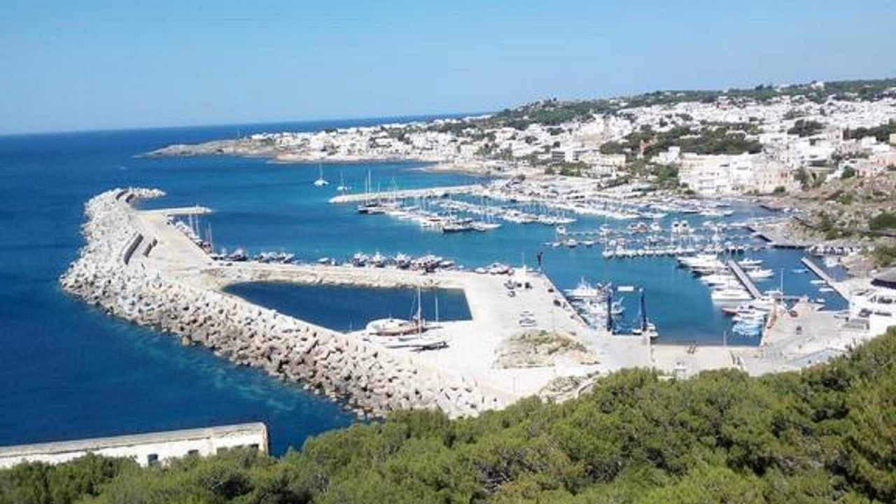 Photo of Others in Alessano