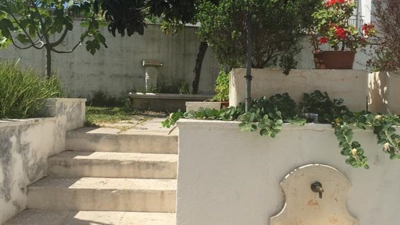 Photo of Outdoor in Alessano