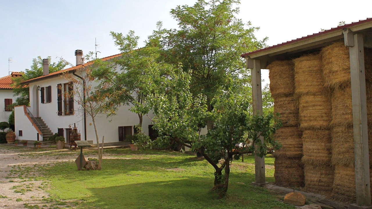 Photo of Outdoor in Scansano