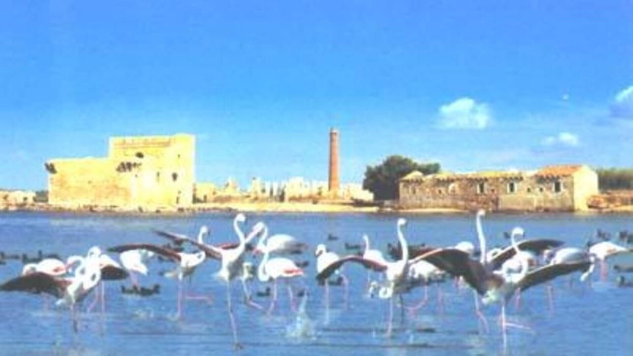 Photo of Others in Avola