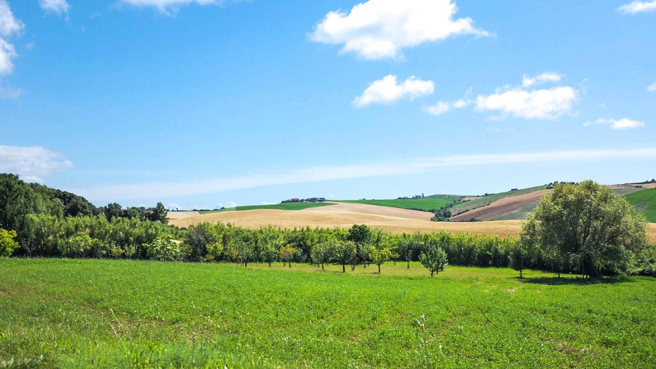 Photo of Others in Santa Luce