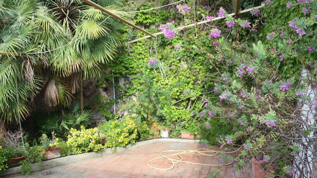 Photo of Outdoor in Porto Santo Stefano