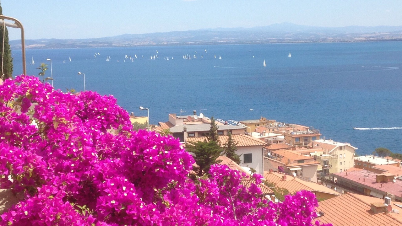 Photo of Others in Porto Santo Stefano