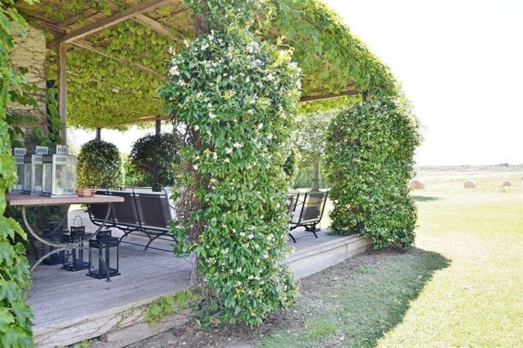 Photo of Outdoor in Capalbio