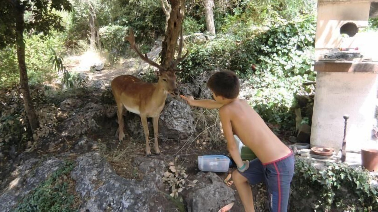 Photo of Outdoor in Ansedonia