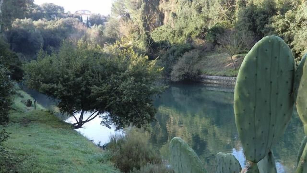 Photo of Outdoor in Ansedonia