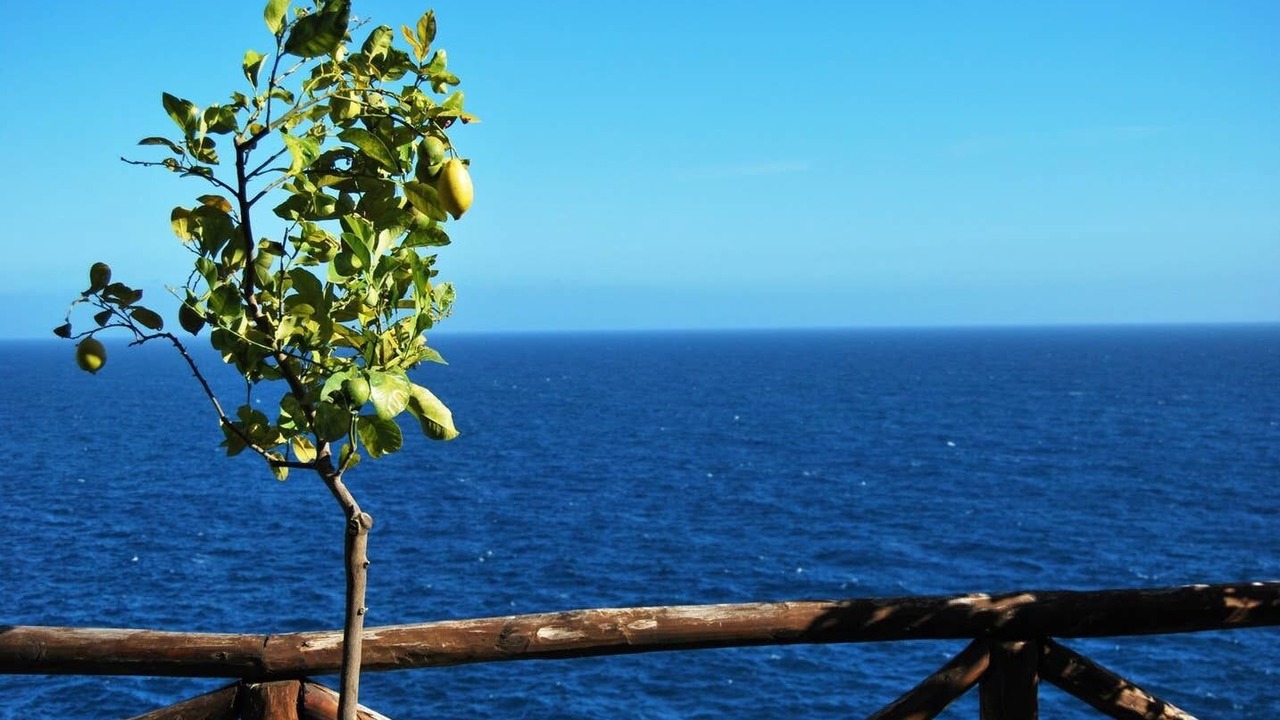 Photo of Others in Conca dei Marini