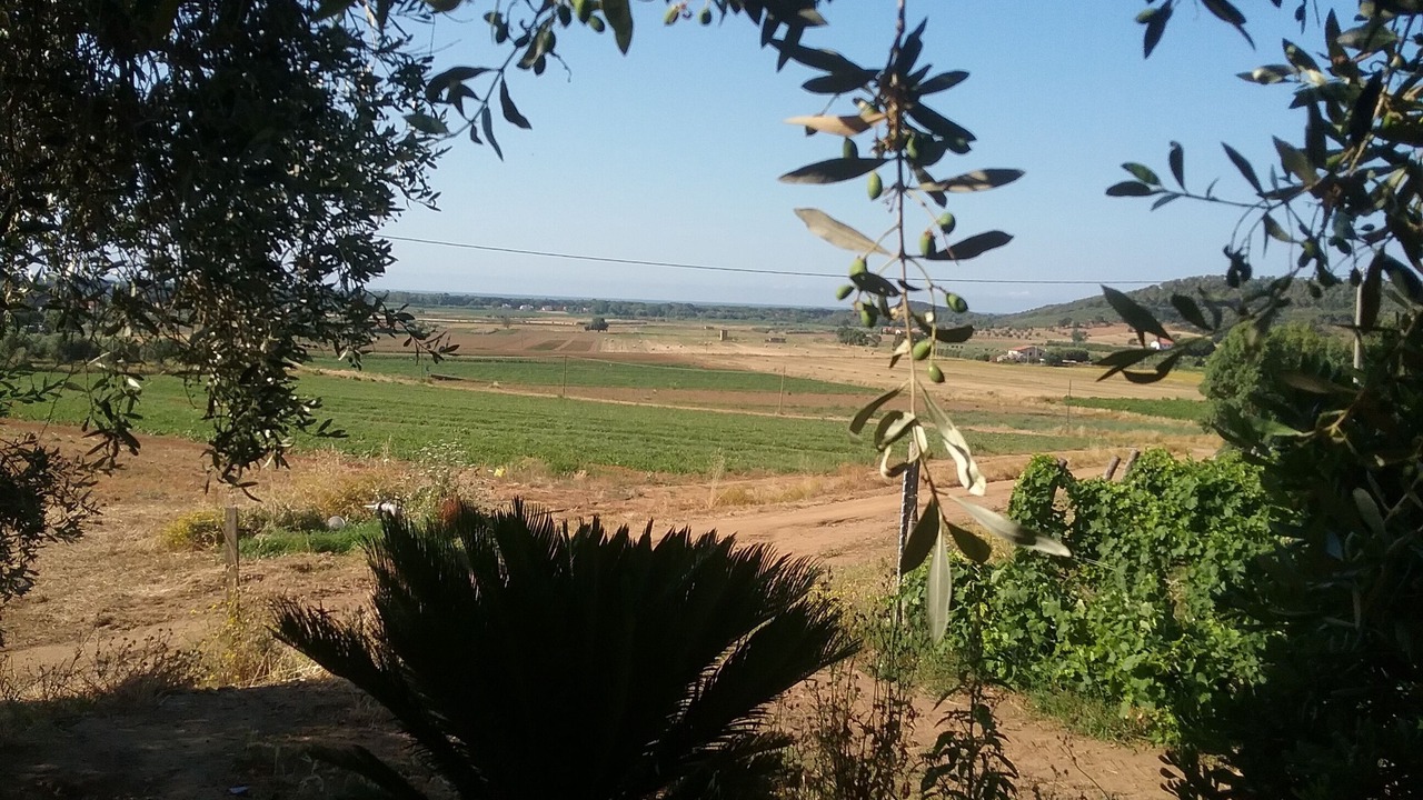 Photo of Outdoor in Pian di Rocca