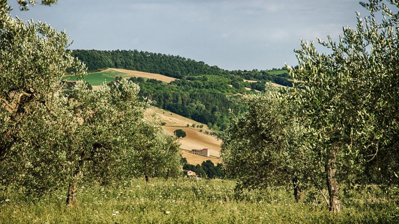 Photo of Others in San Venanzo