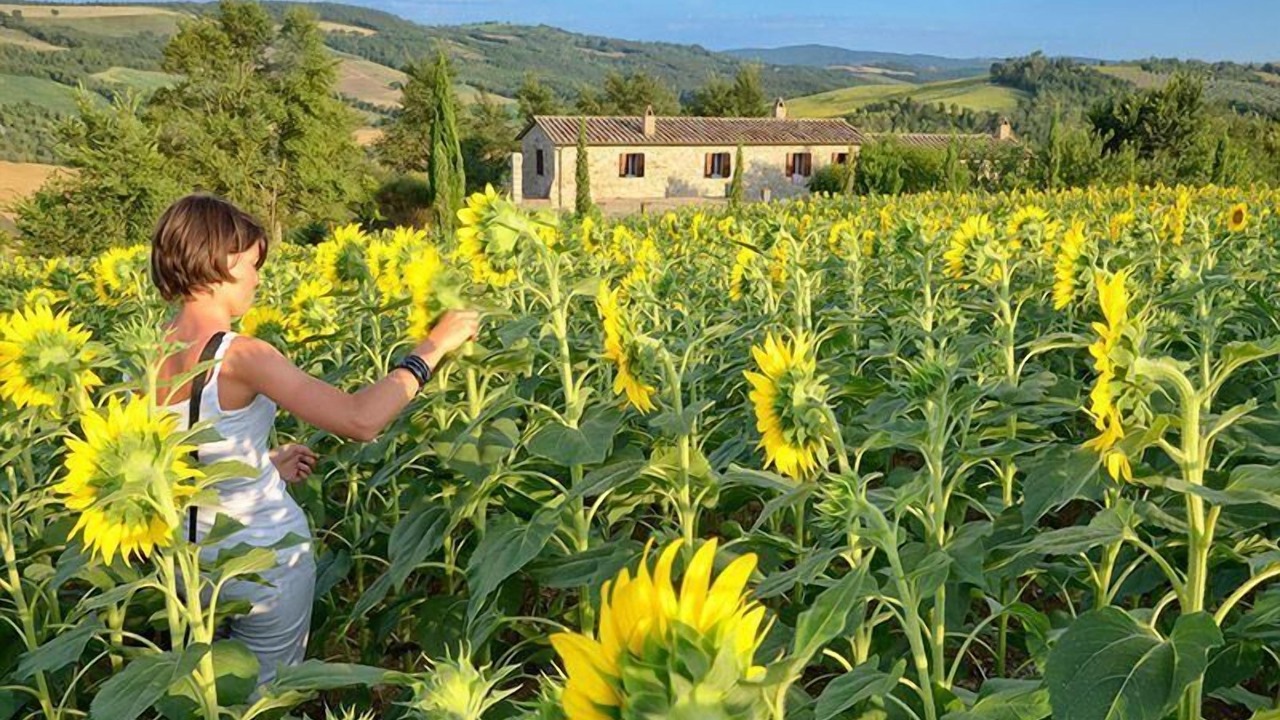 Photo of Others in San Venanzo
