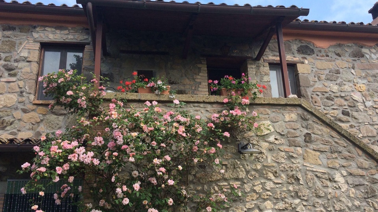 Photo of Outdoor in Civitella d'Agliano