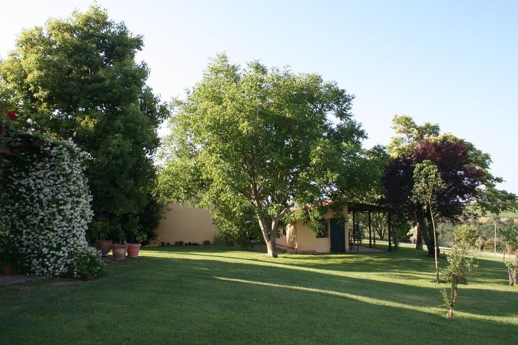 Photo of Outdoor in Manciano