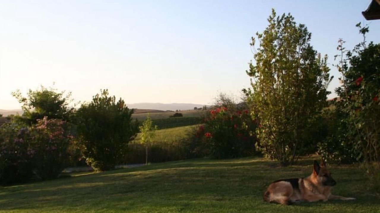 Photo of Outdoor in Manciano