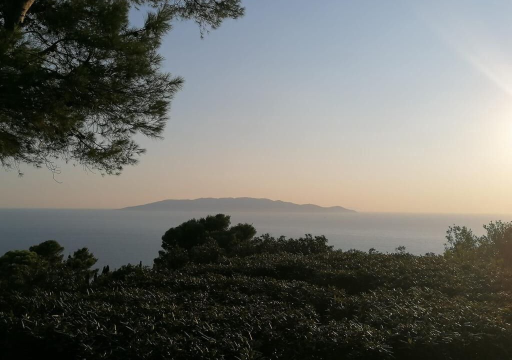 Photo of Others in Cala Piccola