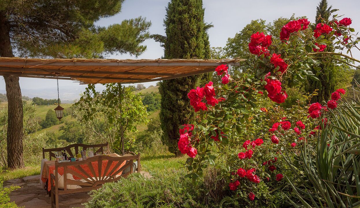 Photo of Outdoor in Scansano