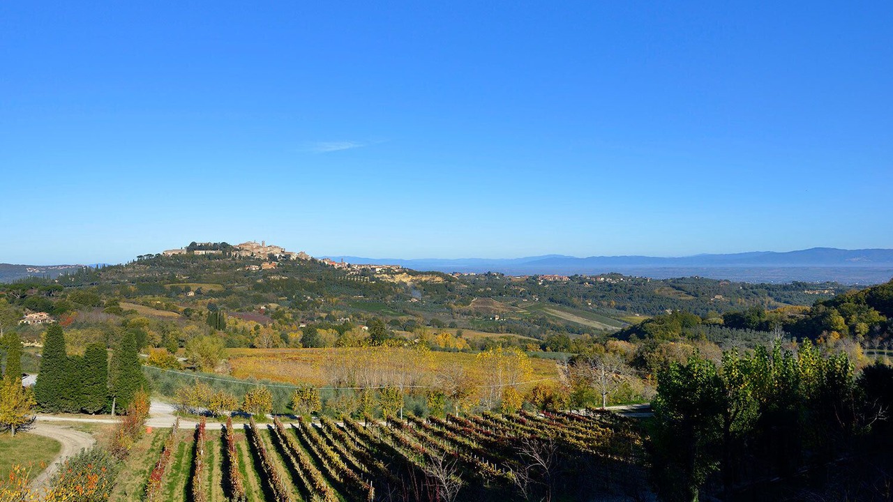 Photo of Others in Montepulciano