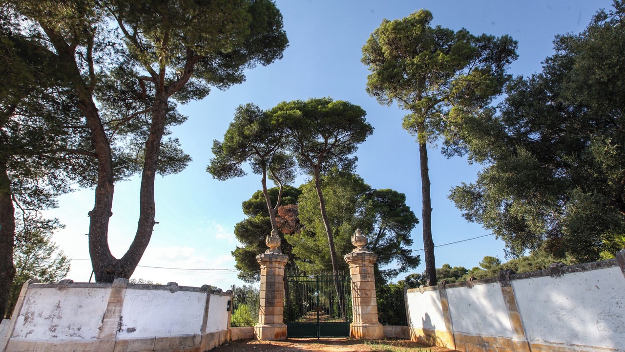 Photo of Outdoor in Ostuni
