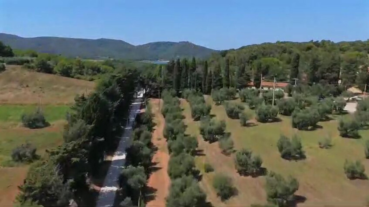 Photo of Outdoor in Piombino