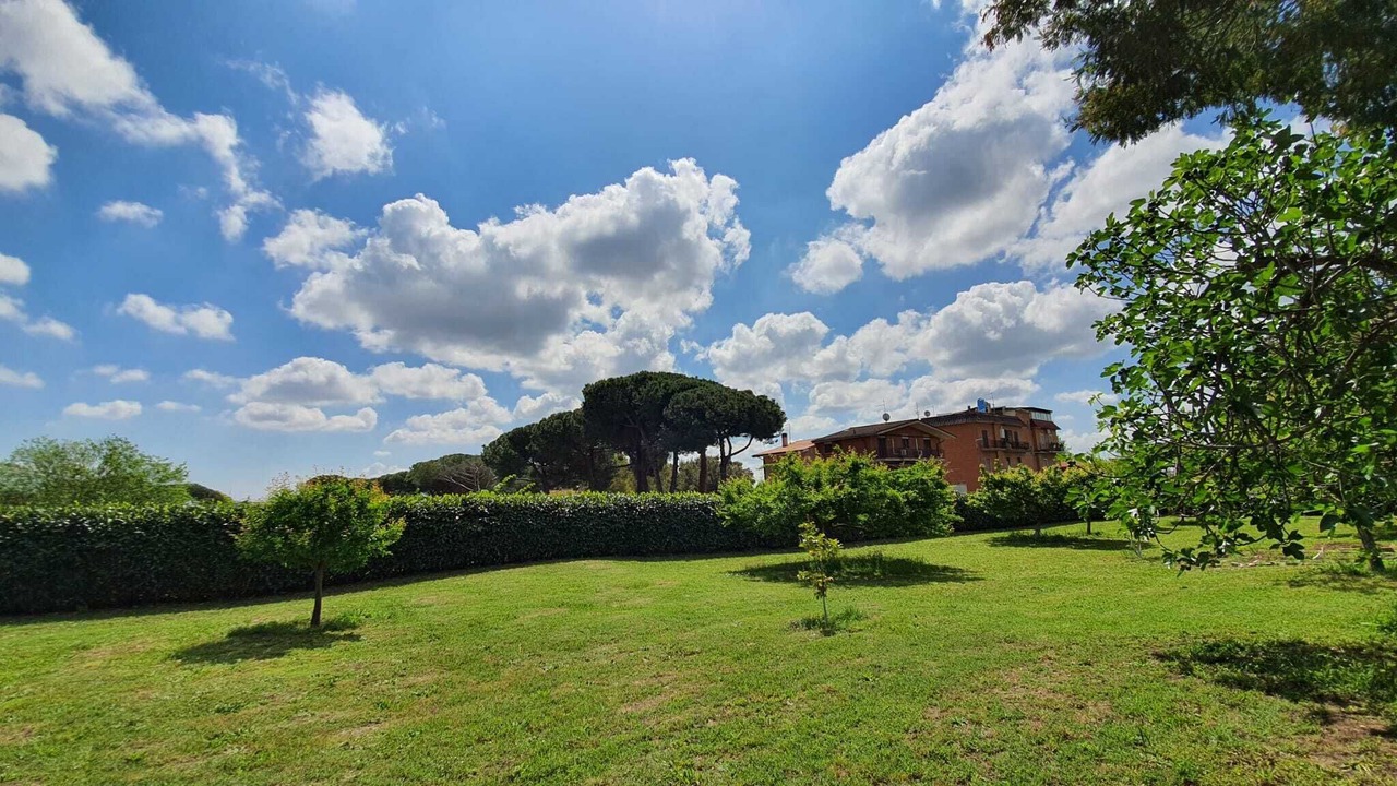 Photo of Outdoor in Selva Candida