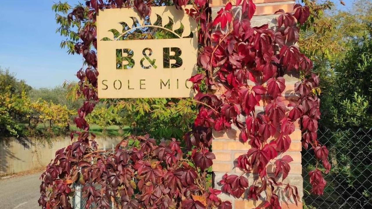 Photo of Outdoor in Velletri