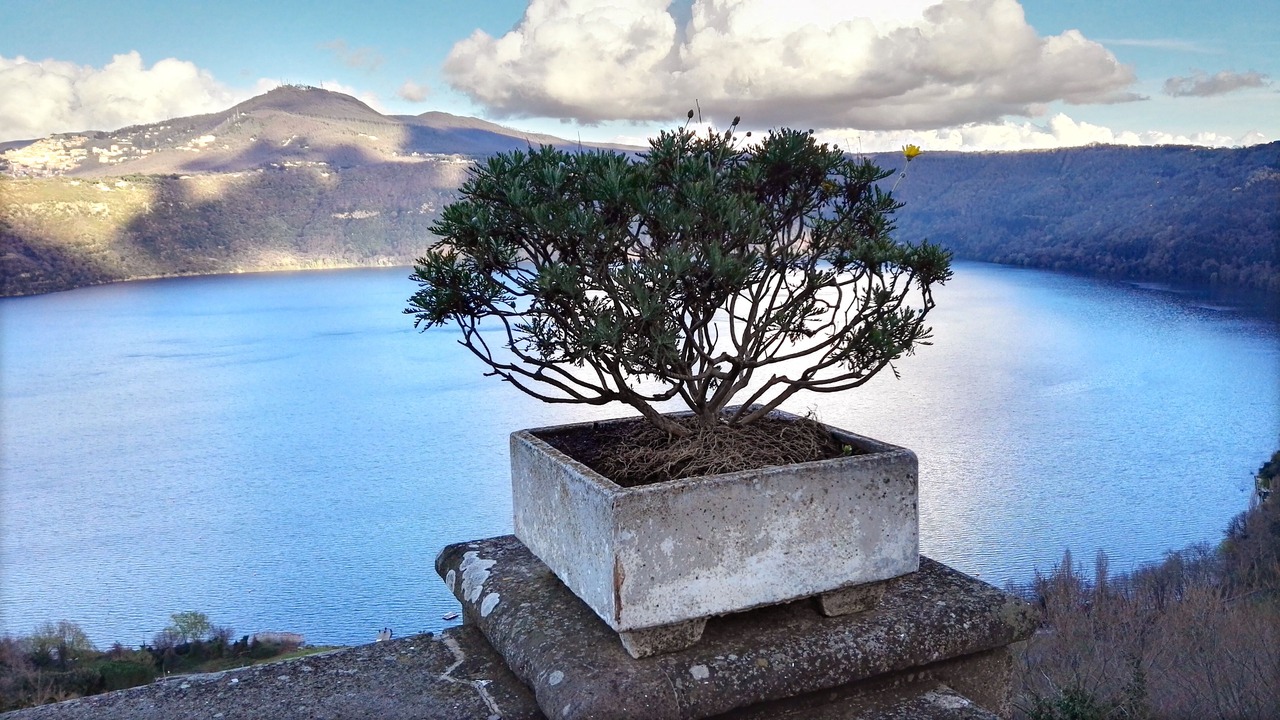 Photo of Others in Velletri