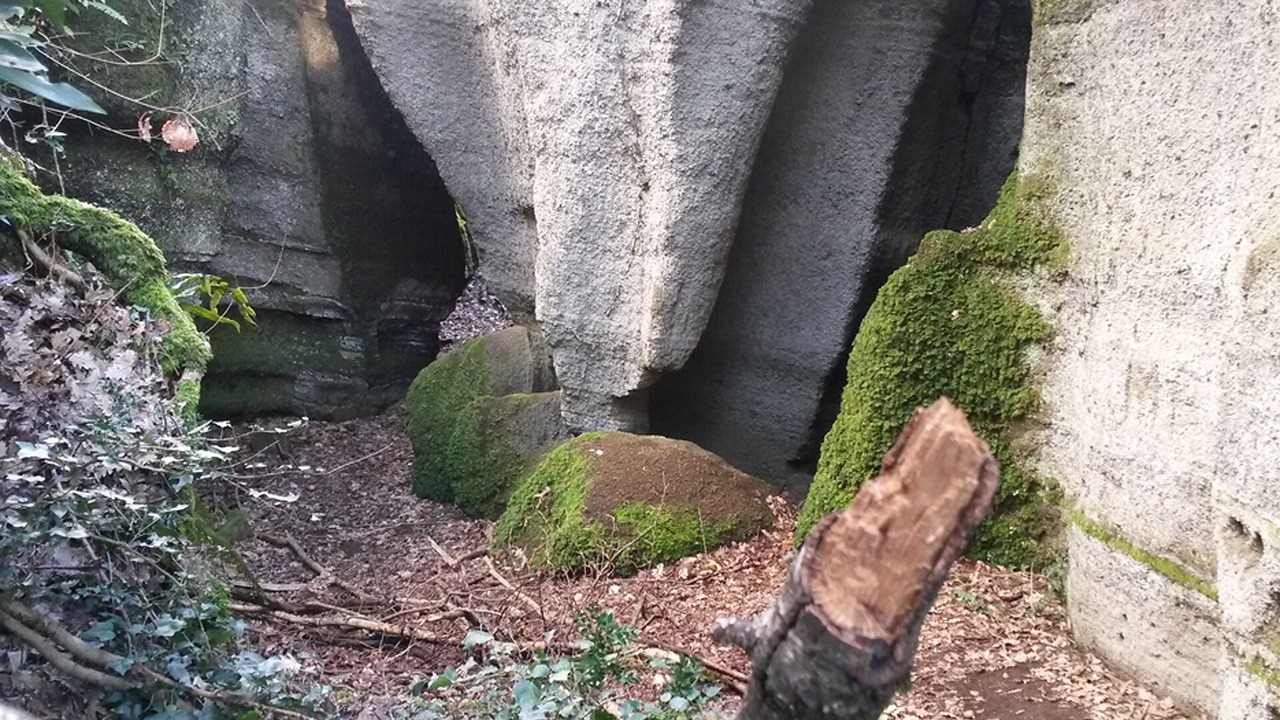 Photo of Outdoor in Velletri