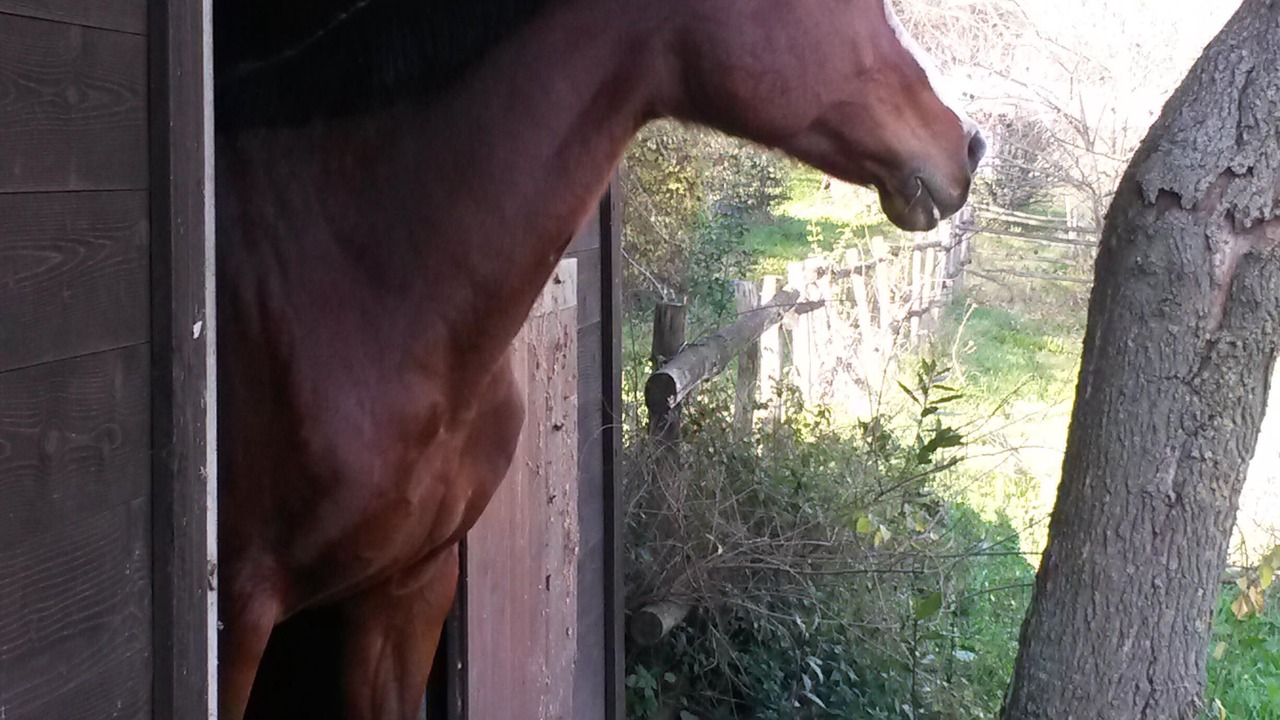 Photo of Outdoor in Velletri