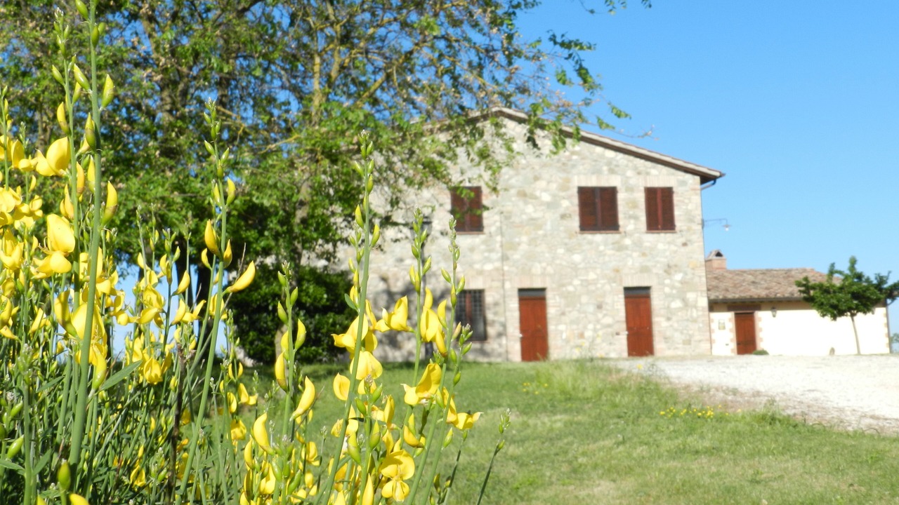 Photo of Outdoor in Loreto