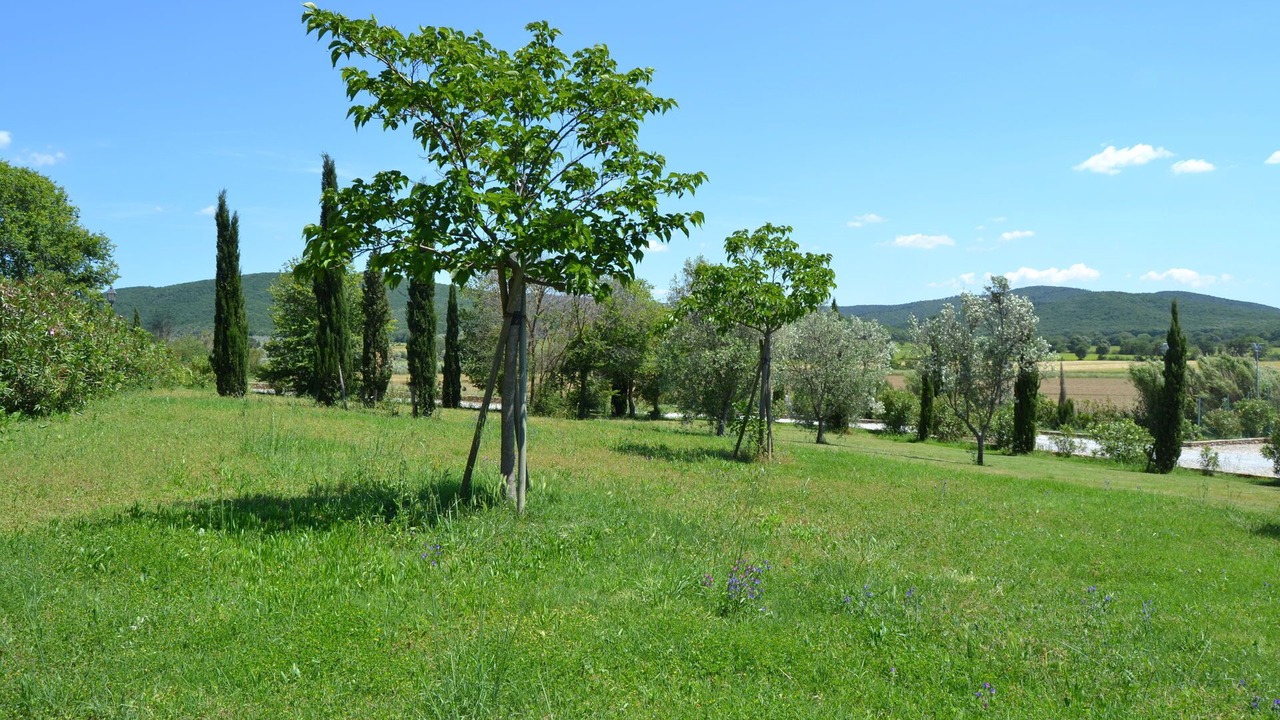 Photo of Others in Casalappi