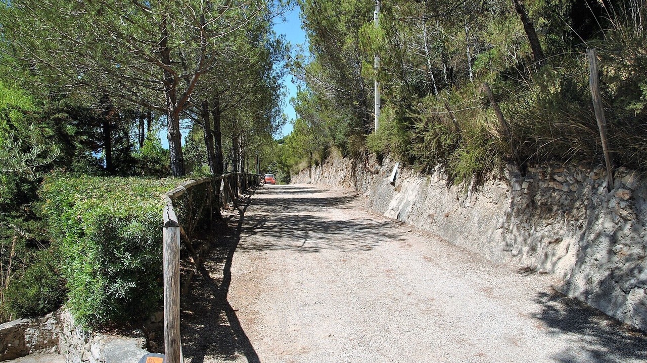 Photo of Others in Sperlonga