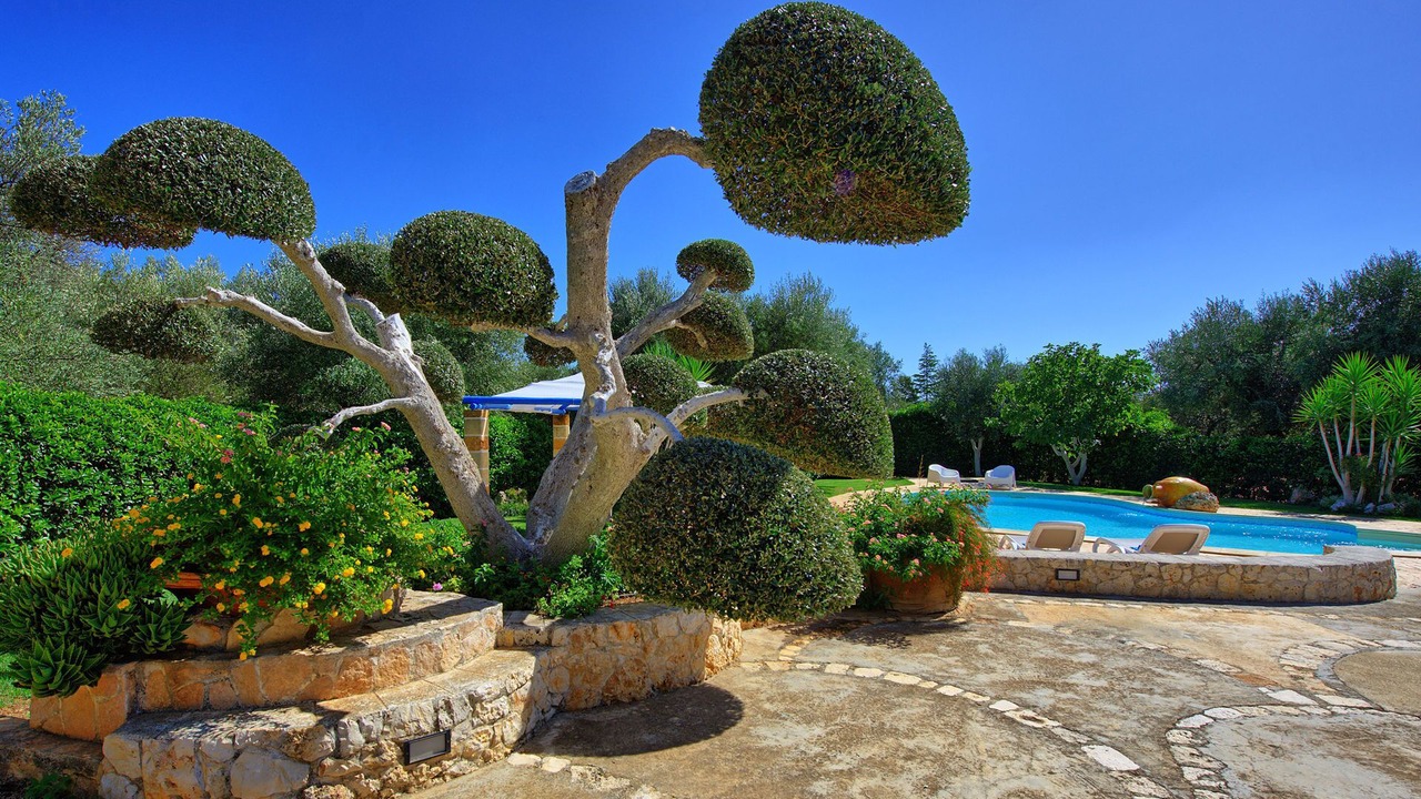 Photo of Outdoor in San Michele Salentino