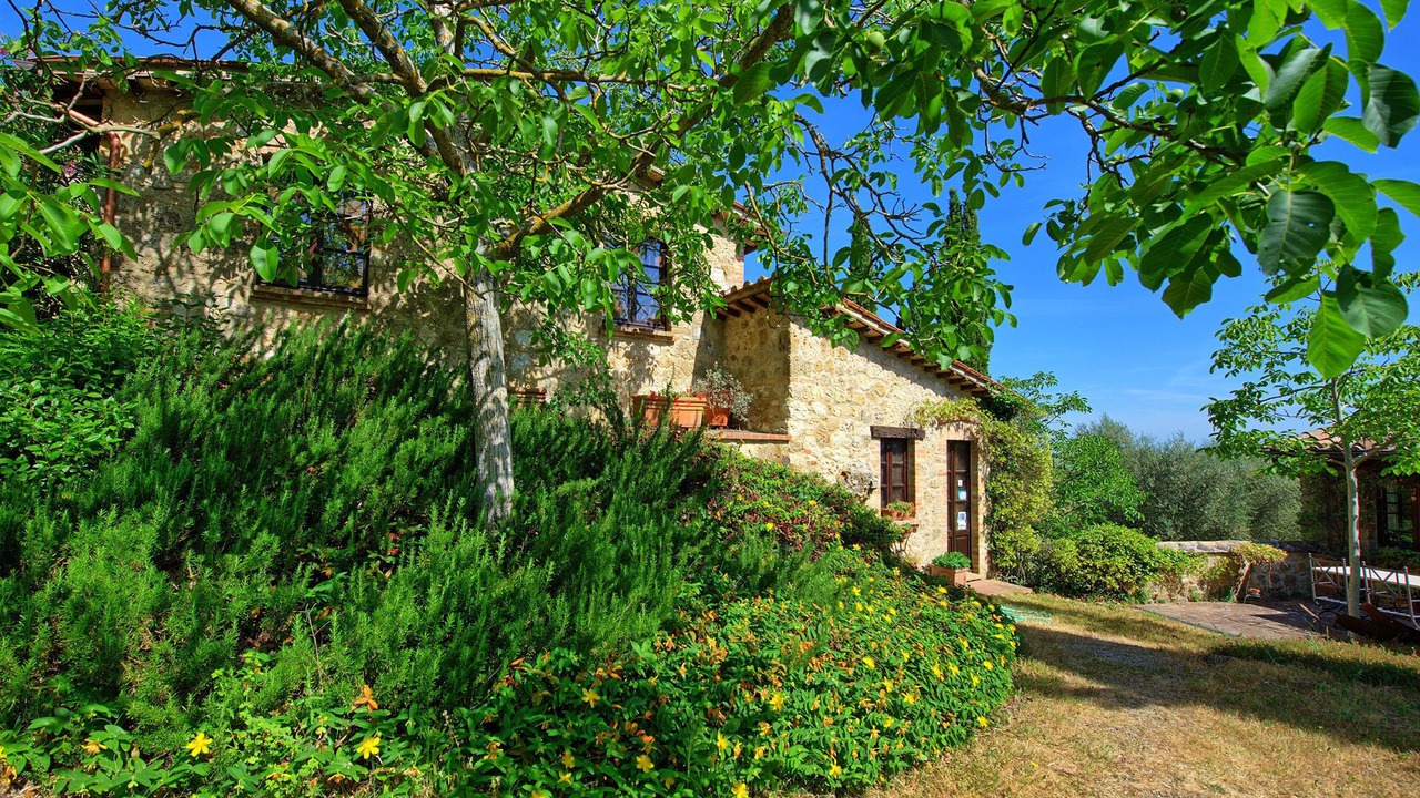 Photo of Outdoor in Sarteano