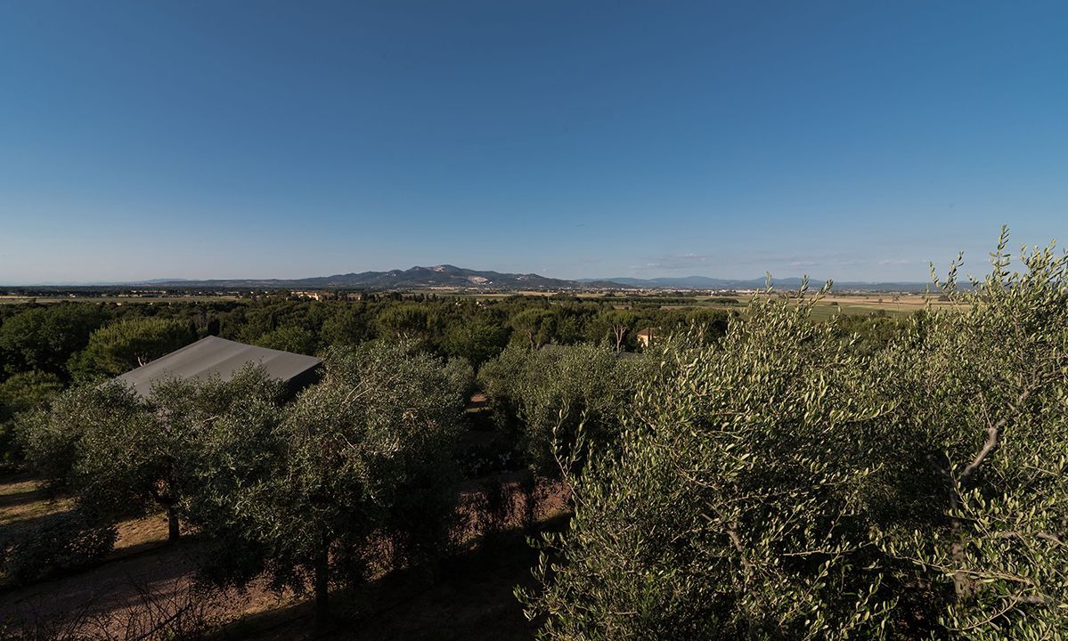 Photo of Outdoor in Piombino