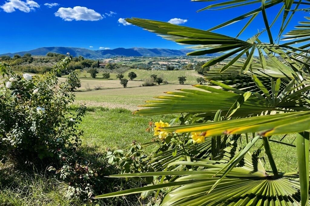 Photo of Outdoor in Spoleto