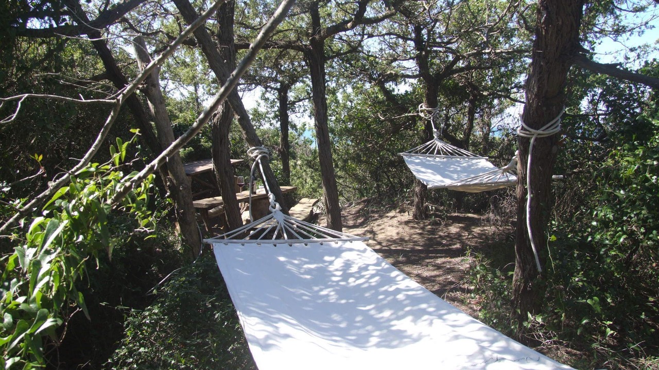 Photo of Outdoor in Marina di Castagneto Carducci